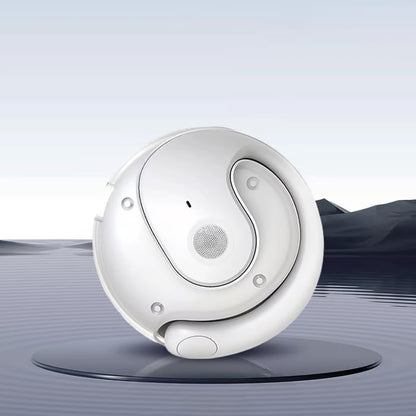 LingoBuds AI Translation Earbuds